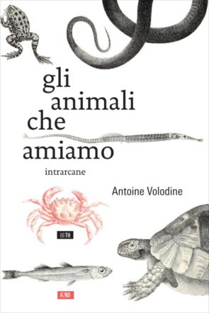 Copertina di Gli animali che amiamo di Antoine Volodine